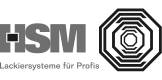 HSM Logo